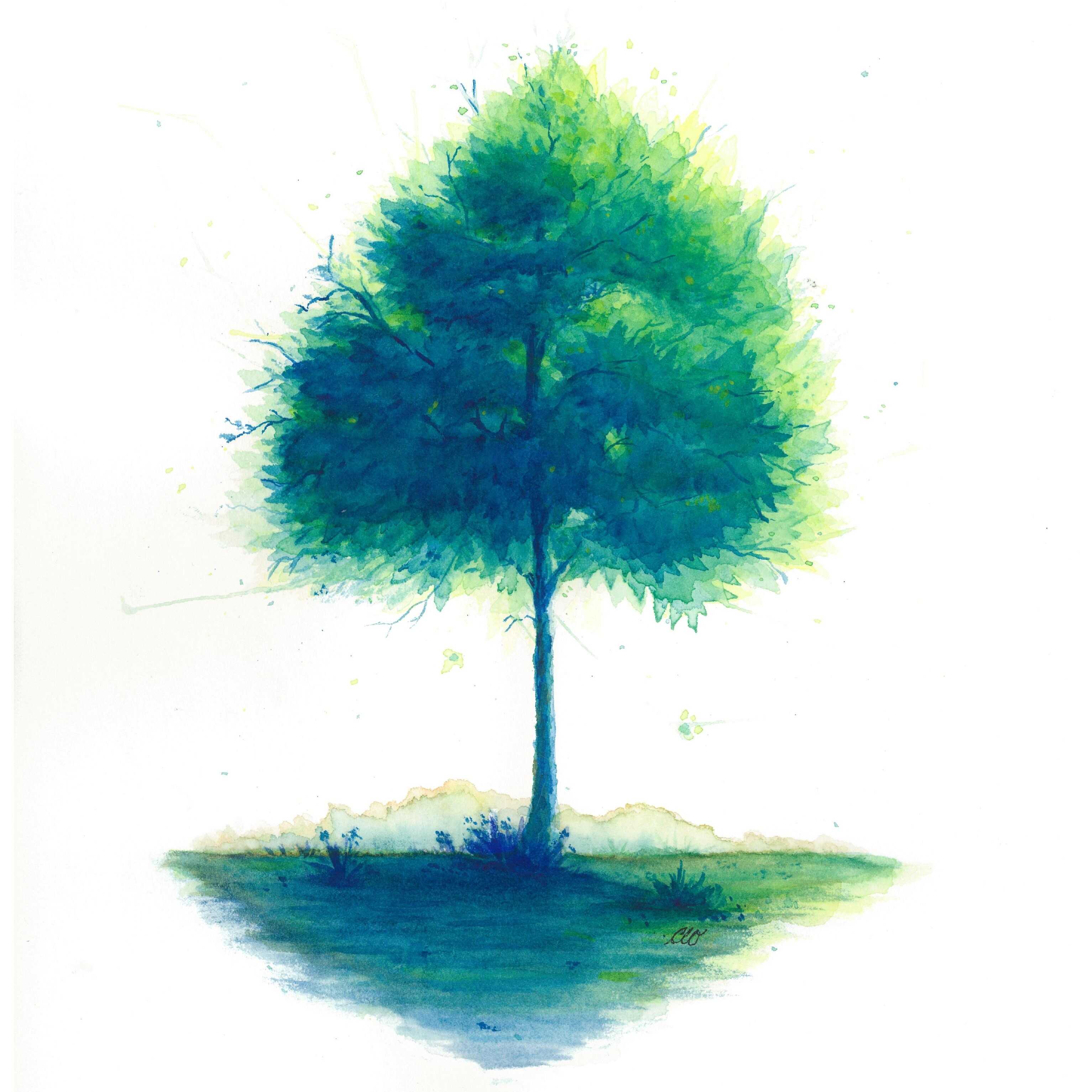 Tiny Tree Profile Pic